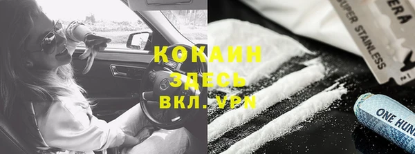 прущие грибы Алексеевка