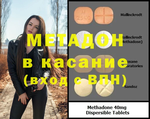 прущие грибы Алексеевка