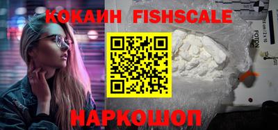 гашик Кунгур