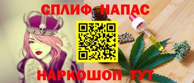 гашик Кунгур