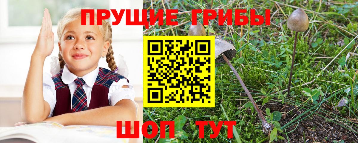 Псилоцибиновые грибы MAGIC MUSHROOMS  что такое наркотик  Калач-на-Дону  Вход с VPN  Псилоцибиновые грибы мухоморы 